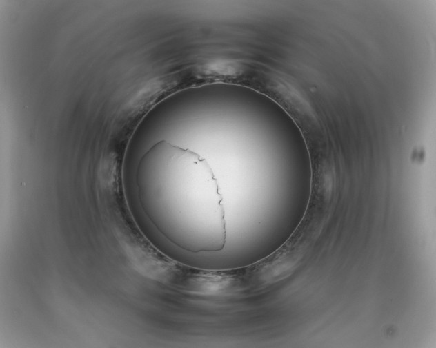 X0000092260328200709141214