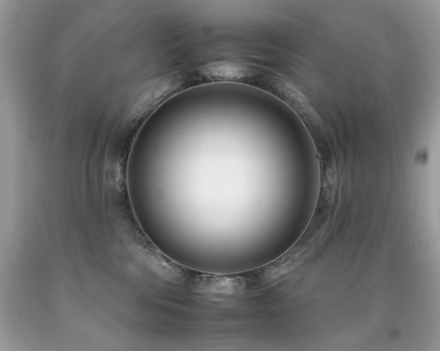 X0000092260330200709141214