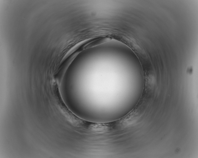 X0000092260331200709141214