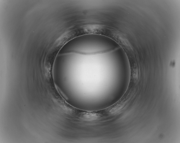 X0000092260332200709141214