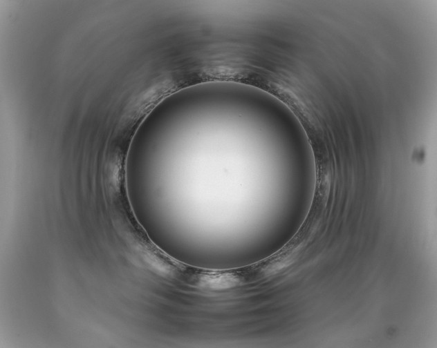 X0000092260334200709141214