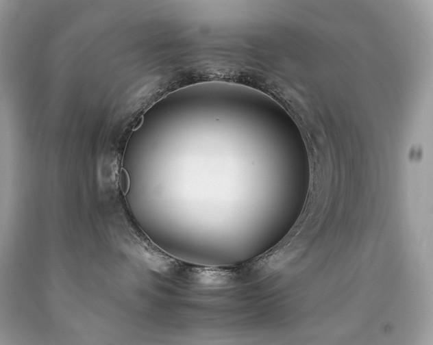 X0000092260336200709141214