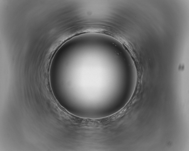 X0000092260337200709141213