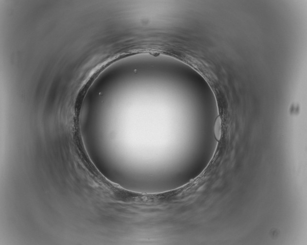 X0000092260338200709141213