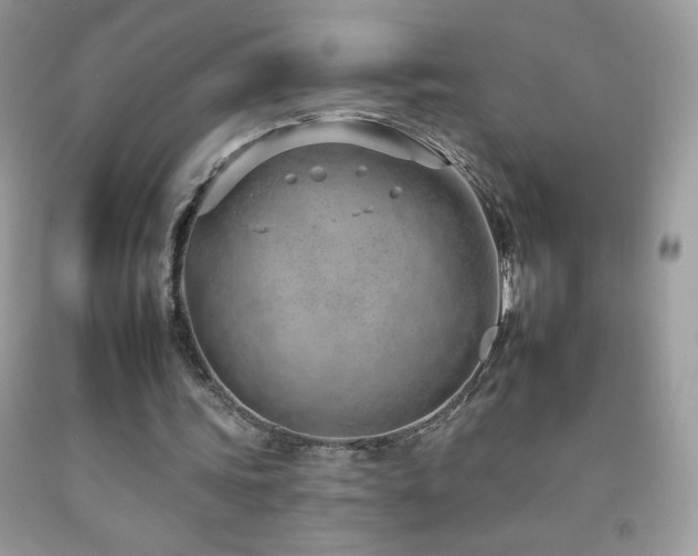 X0000092260339200709141213