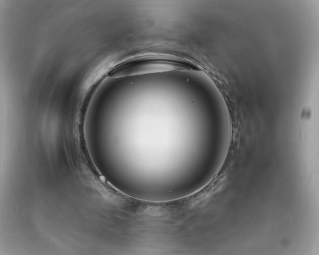X0000092260341200709141213