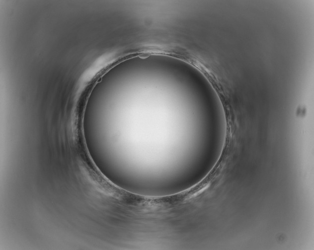 X0000092260343200709141213