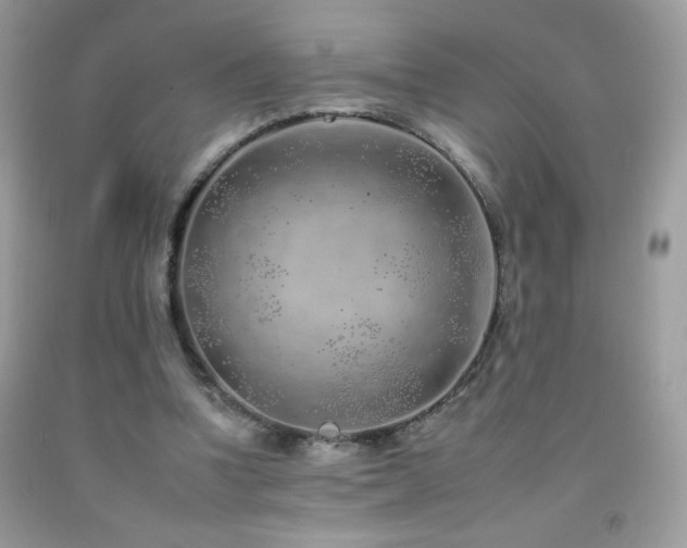 X0000092260346200709141213