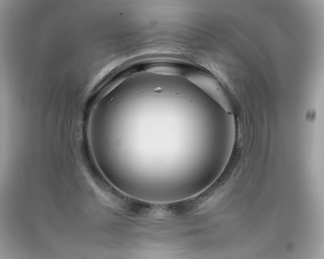 X0000092260348200709141214