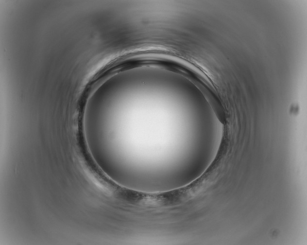 X0000092260350200709141214