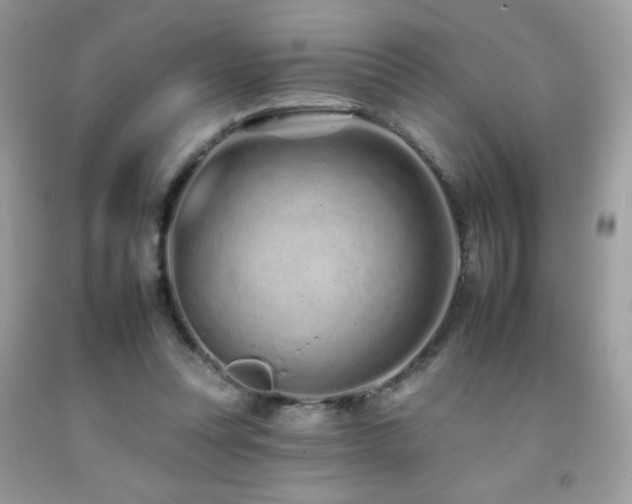 X0000092260351200709141214