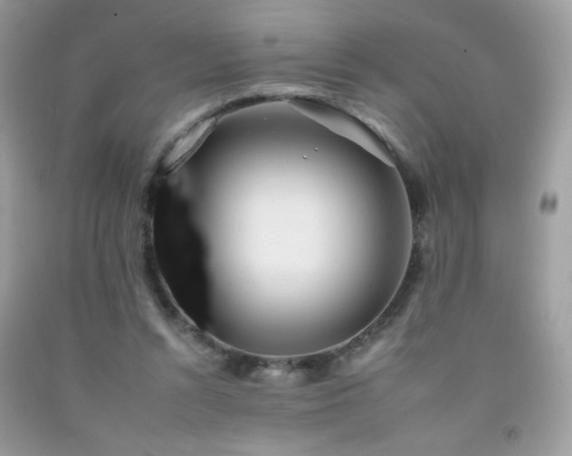 X0000092260352200709141214