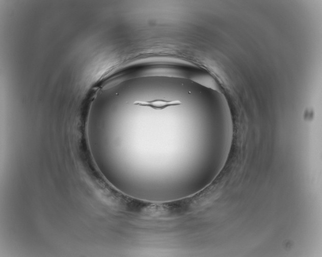 X0000092260354200709141214