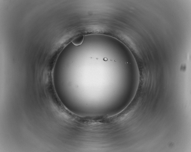 X0000092260355200709141214