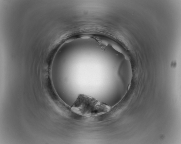 X0000092260356200709141214