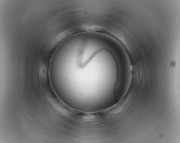 X0000092260357200709141214
