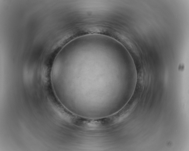 X0000092260359200709141214