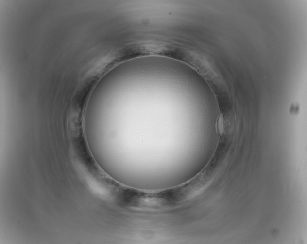 X0000092260360200709141214