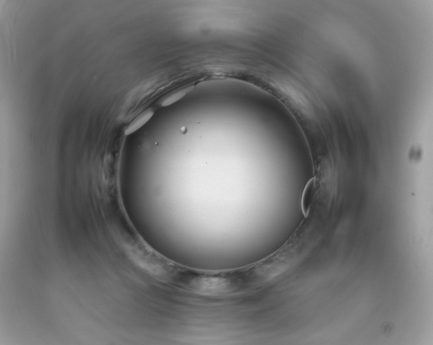 X0000092260361200709141214