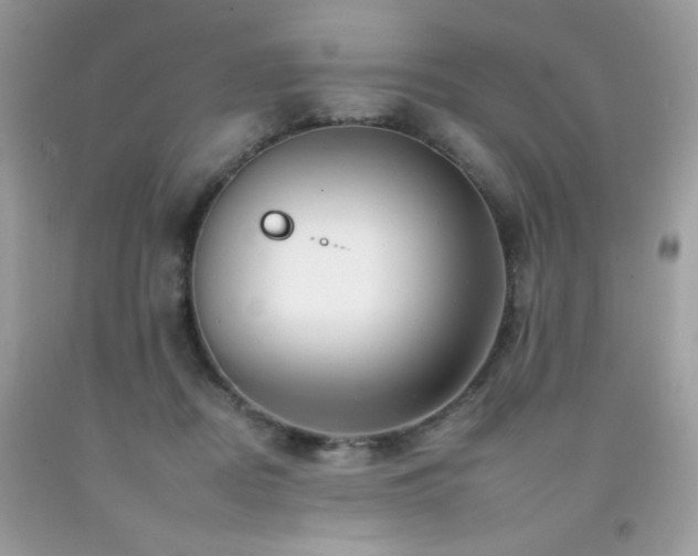 X0000092260362200709141214
