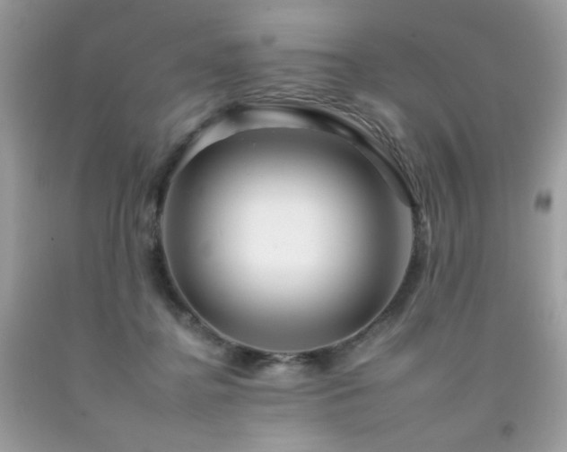 X0000092260364200709141214