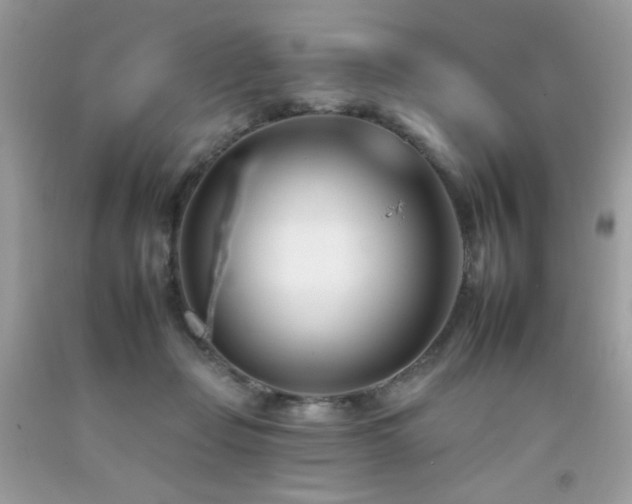 X0000092260365200709141214