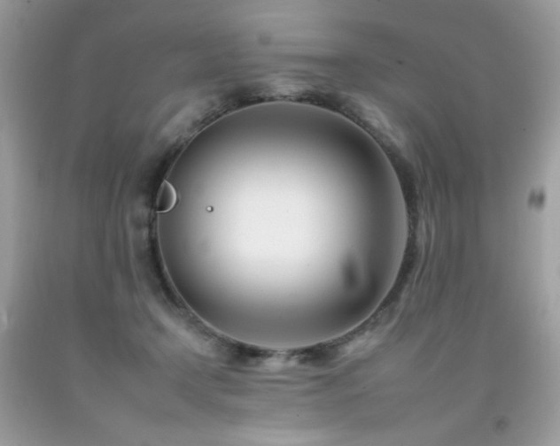 X0000092260366200709141214