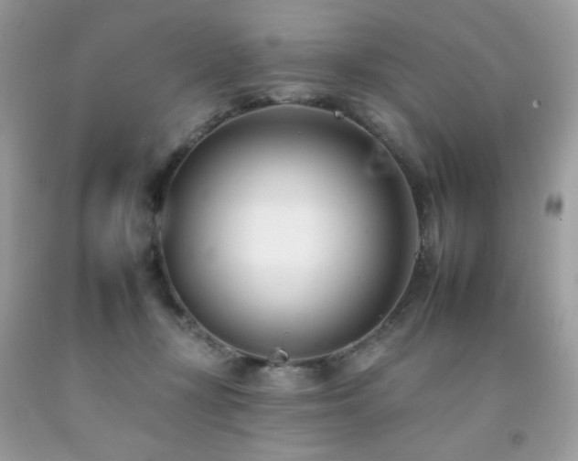 X0000092260367200709141214