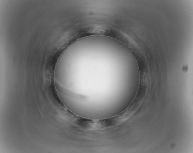 X0000092260370200709141214