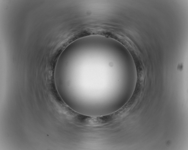 X0000092260372200709141214