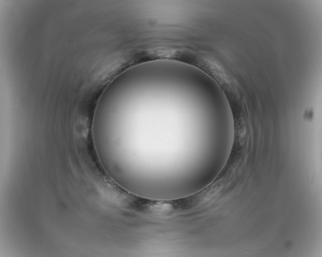 X0000092260374200709141214