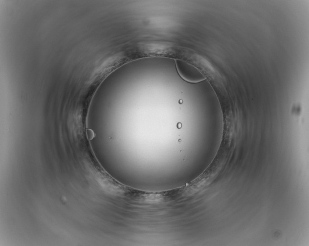 X0000092260377200709141214