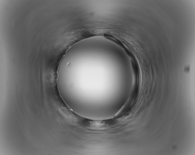 X0000092260380200709141214
