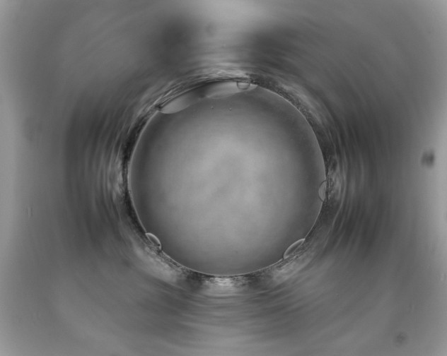 X0000092260381200709141214