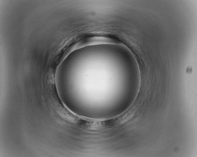 X0000092260384200709141214