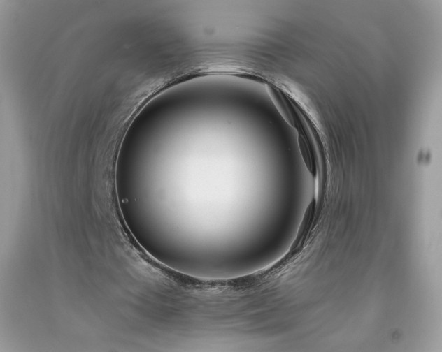 X0000092260385200709141213