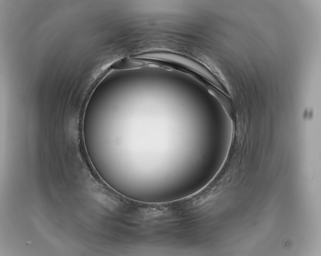 X0000092260386200709141213