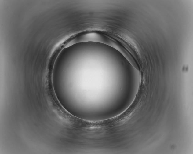 X0000092260388200709141213