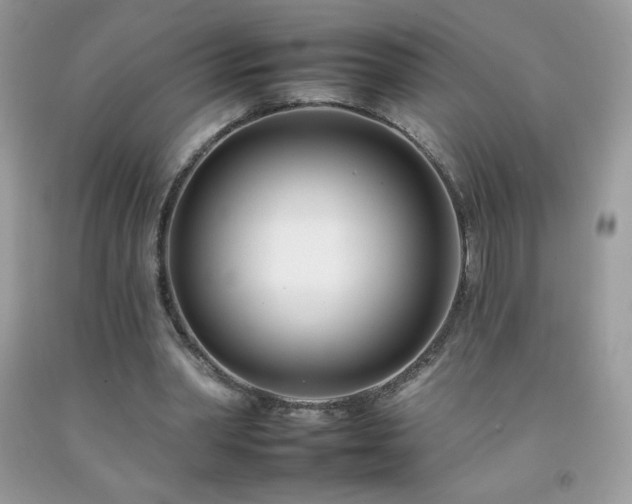 X0000092260390200709141213