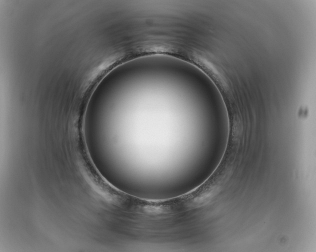 X0000092260394200709141213