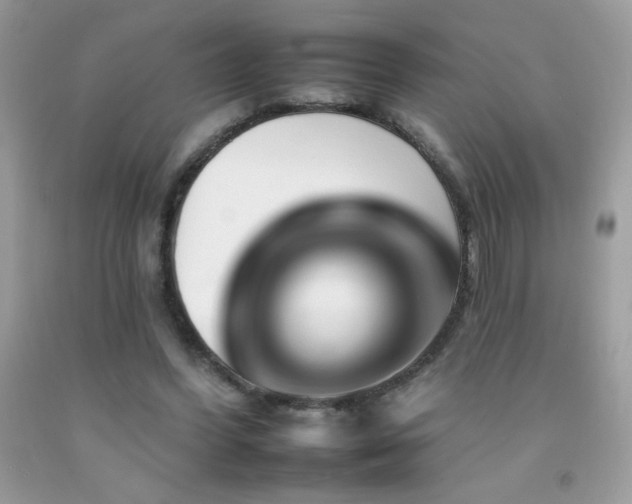 X0000092260396200709141213