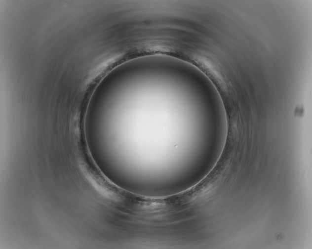 X0000092260398200709141213
