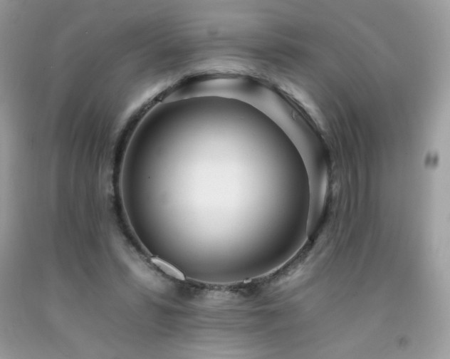 X0000092260399200709141213