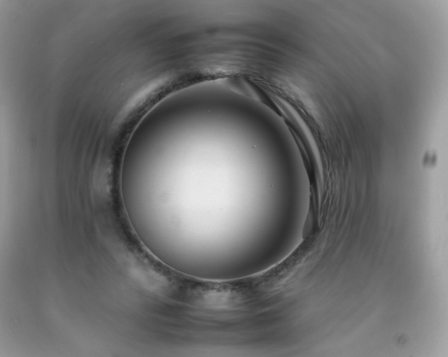 X0000092260400200709141213