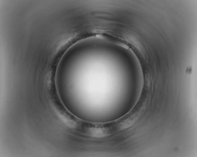 X0000092260404200709141213