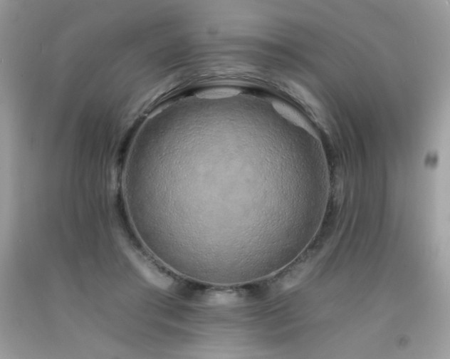 X0000092260405200709141213