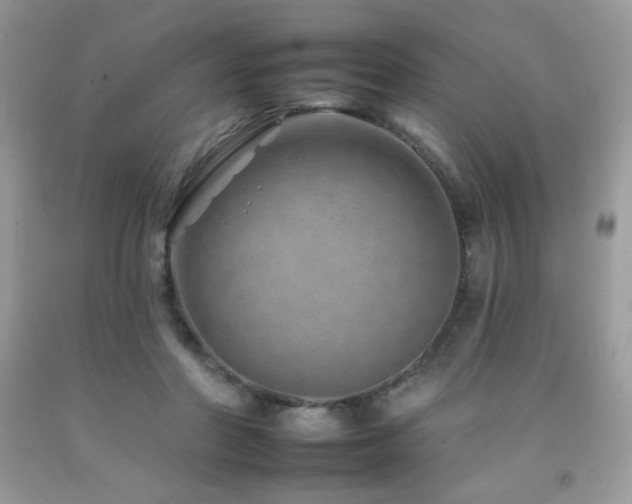 X0000092260406200709141213