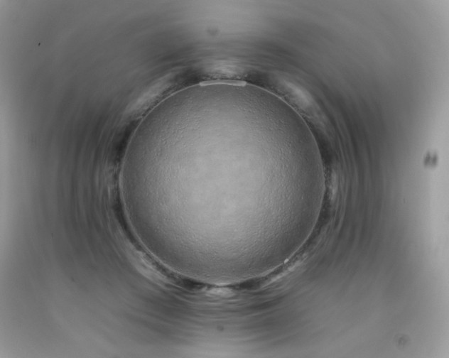 X0000092260409200709141213