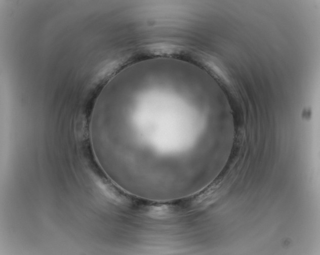 X0000092260411200709141213