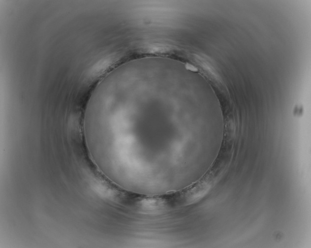 X0000092260415200709141213
